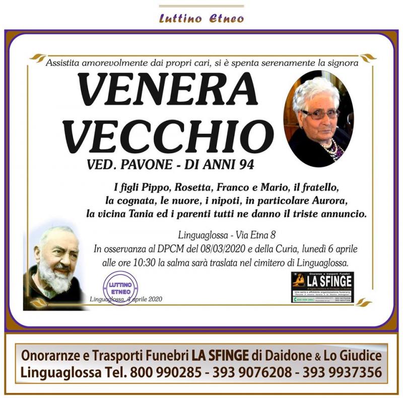 Venera Vecchio