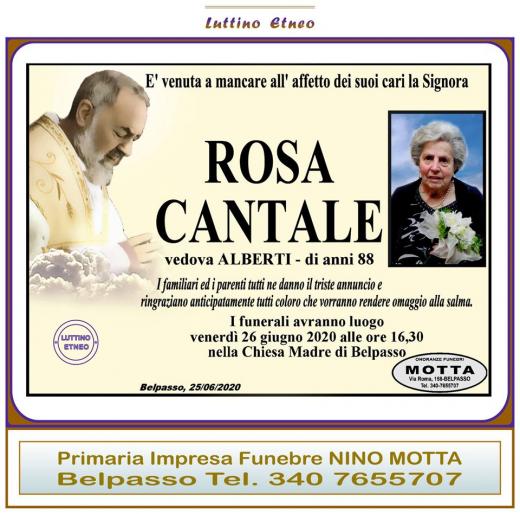 Rosa Cantale