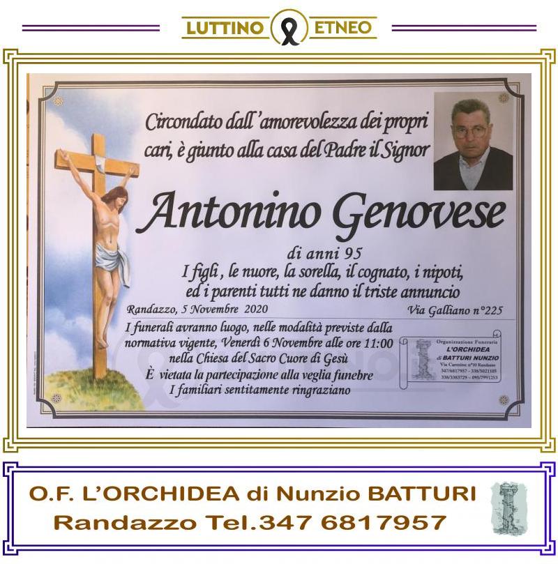 Antonino Genovese