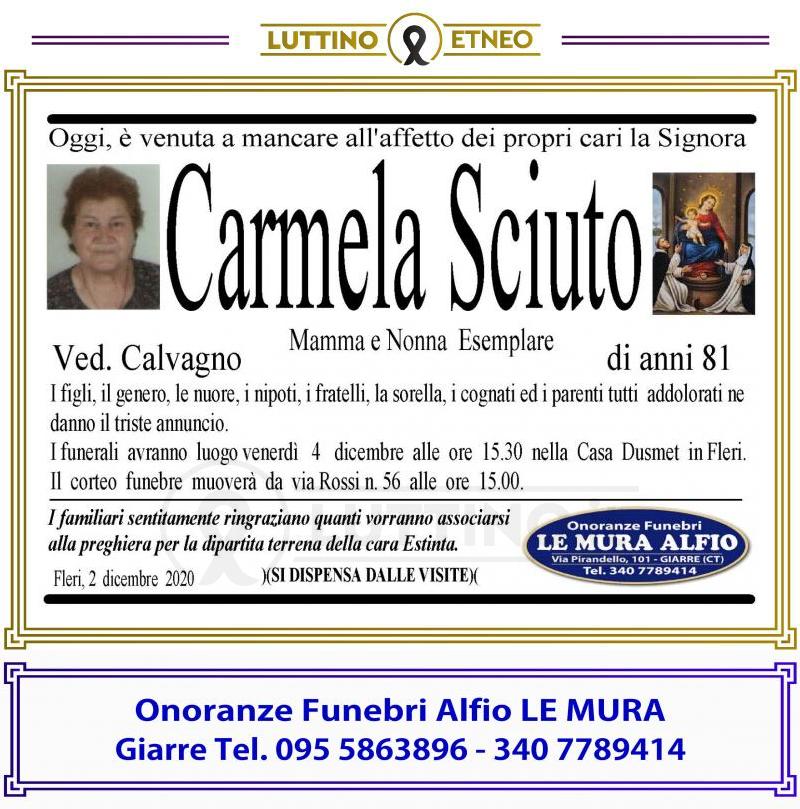 Carmela Sciuto