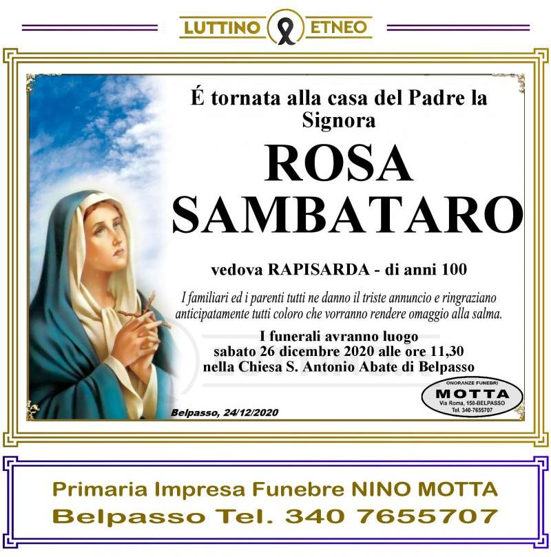 Rosa Sambataro