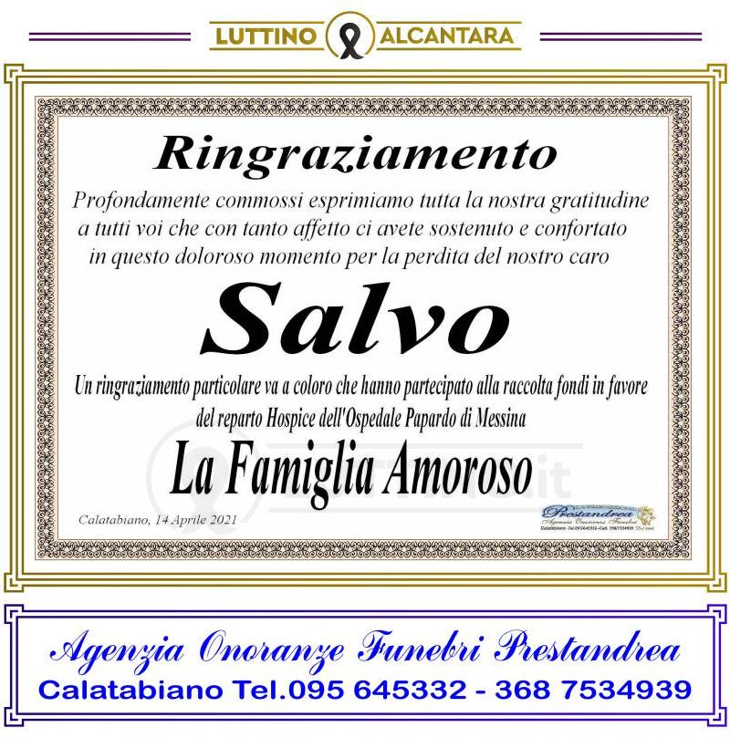 Salvo Amoroso